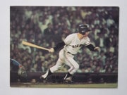 カルビープロ野球カード,74年 | キンキーズ オンラインショップ