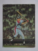 74364 ����ӡ��ץ���奫���� 1974ǯ No.364 ���� ë����� �������