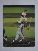 74367 ����ӡ��ץ���奫���� 1974ǯ No.367 ���� ë����� �²���