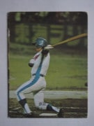 カルビープロ野球カード 1974年 213 新美 カルビープロ野球