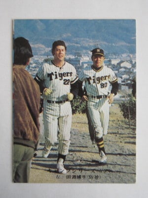 75595 カルビープロ野球カード 1975年 No.595 阪神 田淵幸一 並品 