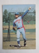 75606 ����ӡ��ץ���奫���� 1975ǯ No.606 ���� ���ܹ��� �²���