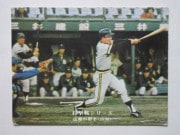 75800 ӡץ奫 1975ǯ No.800  Ǹ ²