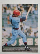 75828 ӡץ奫 1975ǯ No.828  粼 ¾