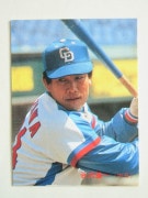 85246 ����ӡ��ץ���奫���� 1985ǯ No.246 ���� ë����� ����