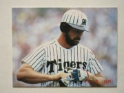 85253 ����ӡ��ץ���奫���� 1985ǯ No.253 ��� �С��� ����