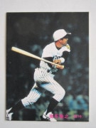 85359 ����ӡ��ץ���奫���� 1985ǯ No.359 ��� ���۲�Ƿ �¾���