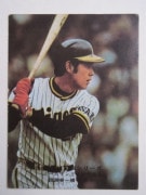 75861 ӡץ奫 1975ǯ No.861  ʥ 