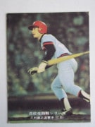 75883 ӡץ奫 1975ǯ No.883  ¼Ƿ ²