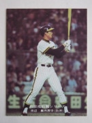 75916 ӡץ奫 1975ǯ No.916  մ 