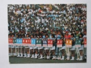 75017 ӡץ奫 1975ǯ No.17 ѡ꡼ 륹 ²