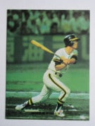 75024 ӡץ奫 1975ǯ No.24  ƣʿ 륹 ¾