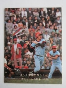 75291 ӡץ奫 1975ǯ No.291  ҡ ֥إ뷳 