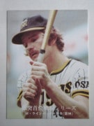 761146 ����ӡ��ץ���奫���� 1976ǯ No.1146 ��� �����饤��Хå� �¾���