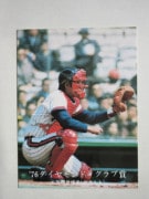 761330 ����ӡ��ץ���奫���� 1976ǯ No.1330 �䥯��� ������ɧ ����