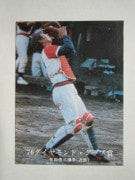 761331 ����ӡ��ץ���奫���� 1976ǯ No.1331 ��Ŵ ͭ�Ľ��� �¡��¾���