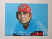 761360 ����ӡ��ץ���奫���� 1976ǯ No.1360 ���� �ǡ��ۥץ��� ����