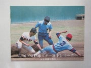 761370 ����ӡ��ץ���奫���� 1976ǯ No.1370 ���� ��޾�ͺ ����