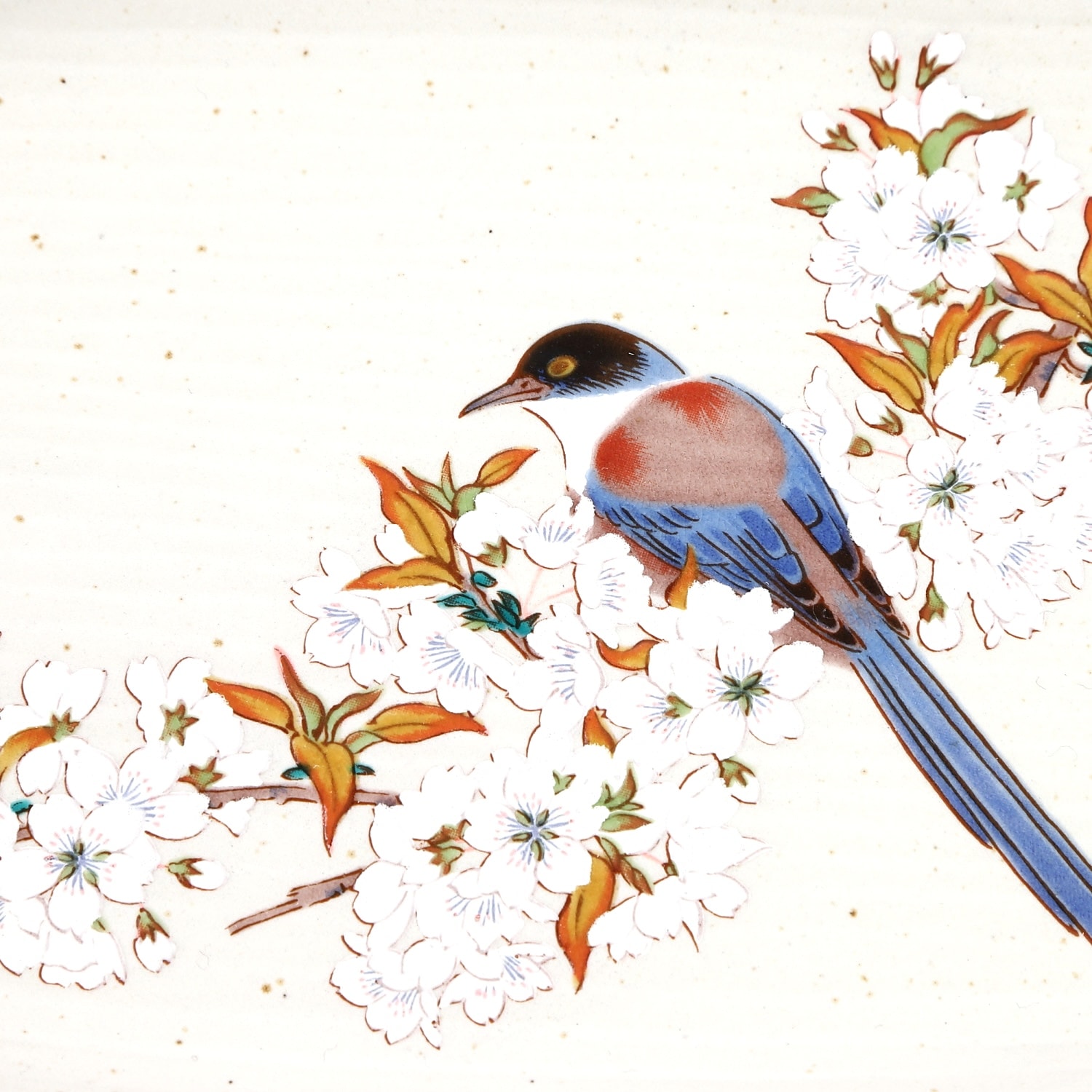 九谷焼】6.5号皿・山桜に鳥【九谷白雅】創亭やぶきたオンライン