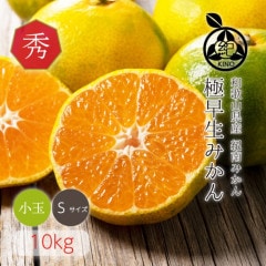 �������ߤ��� ����̵�� �� ���� S ������ 10kg ��