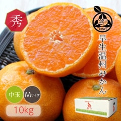 ���������ߤ���� ���� M ������ 10kg ��