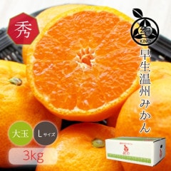 ���������ߤ���� ���� L ������ 3kg ��