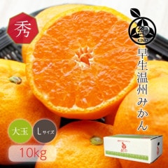 ���������ߤ���� ���� L ������ 10kg ��