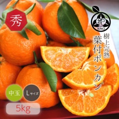 ���� �ݥ󥫥� ����̵�� �ڽ��� L ������ 5kg��