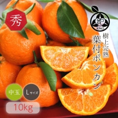 ���� �ݥ󥫥� ����̵�� �ڽ��� L ������ 10kg��