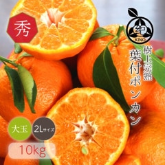���� �ݥ󥫥� ����̵�� �ڽ��� 2L ������ 10kg��