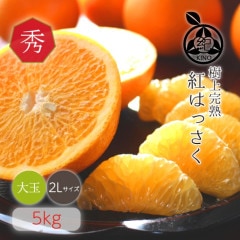 ��Ȭ��� ���� 2L ������(��̡�5kg ��