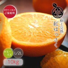 ��Ȭ��� L/2L ������ 10kg �ۤ�������