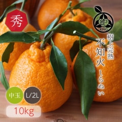 ���βС�����̤��� �ڽ���L/��L����������̡ˡ�10kg��