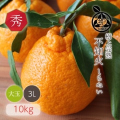 ���βС�����̤��� �ڽ��ʣ�L����������̡ˡ�10kg��