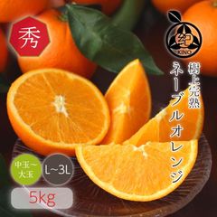 �� �͡��֥�� ���� L/2L/3L�����~��̡˥����� 5kg ��