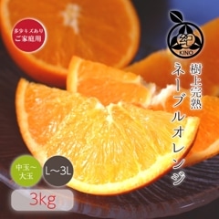 �� �͡��֥�� L~3L ������ 3kg �ۤ�������