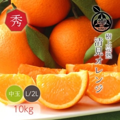 清見オレンジ 20kg 2Lサイズ以上家庭用、1 みかん,清見オレンジ | 紀州の旬マルシェ 紀の