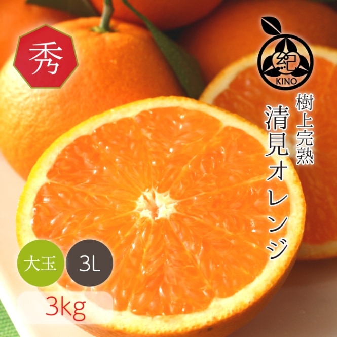 清見 オレンジ【 秀品 3L サイズ 3kg 】 | みかん,清見オレンジ | 紀州