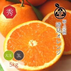 ���� ����󥸡� ���� 3L ������ 5kg ��