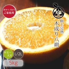 ������ Ȭ��� L/2L ������ 5kg �ۤ�������