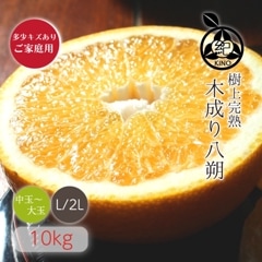 ������ Ȭ��� L/2L ������ 10kg �ۤ������ѡ�