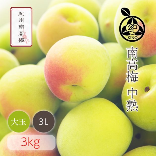 南高梅 中熟 本場紀州産 クール便 送料無料<br> 【 3L サイズ