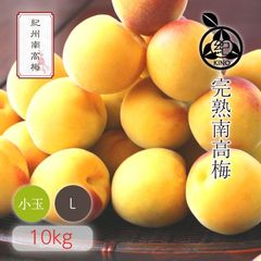 梅,南高梅 完熟梅 | 紀州の旬マルシェ 紀の