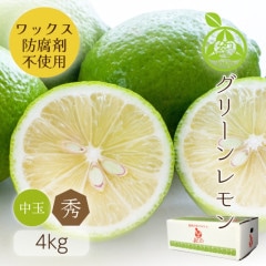 ���� �� ����̵�� �� ���� M ������ 4kg ��