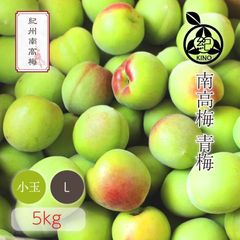 ����� ���� �ܾ쵪���� �������� ����̵��<br> �� L ������ 5kg ��