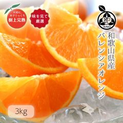 �� �Х�󥷥�����󥸡� 2L/3L����̤�����̡�3kg ��