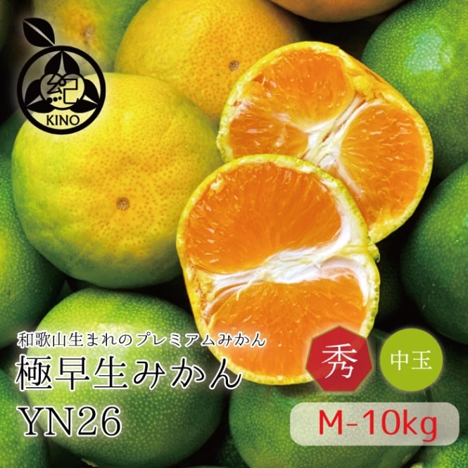 極早生 みかん YN26 送料無料 【 秀品 M サイズ 10kg