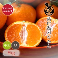 ���� ���� �ߤ���� M ������ 5kg ��¿���������� ��������