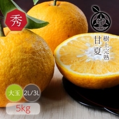 �ڽϡ��Ųơ� ���� 2L/3L������ 5kg ��