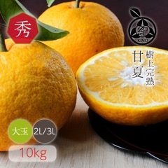 �ڽϡ��Ųơ� ���� 2L/3L������ 10kg ��
